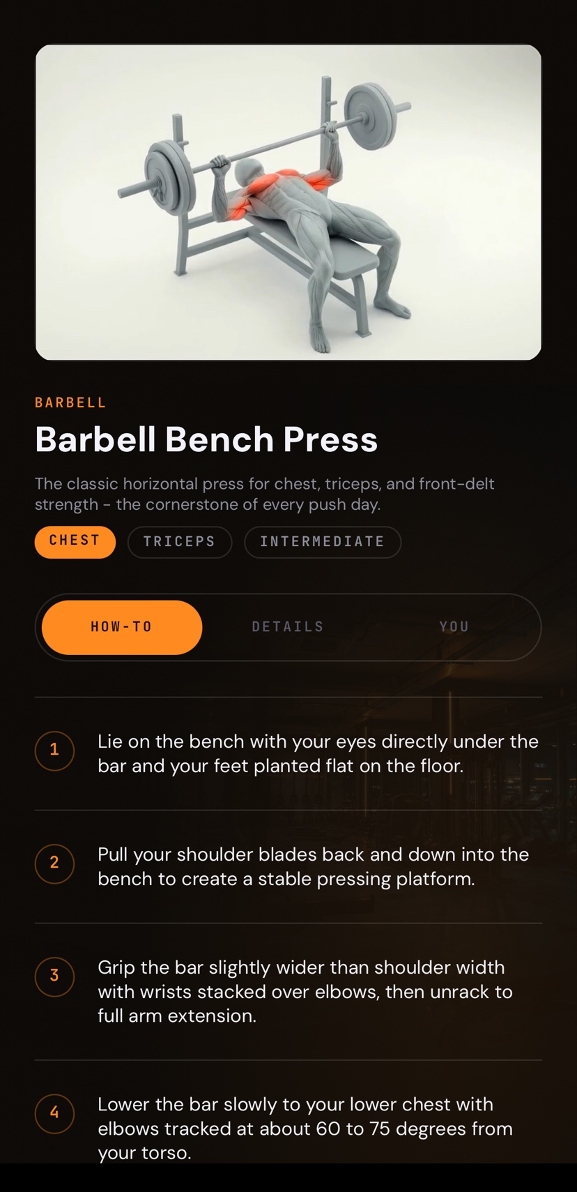 Barbell Bench Press exercise screen in Maatriks with movement image and muscle labels